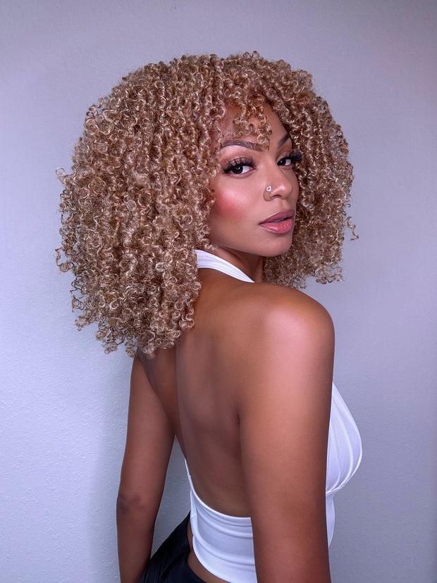Blonde Highlights
