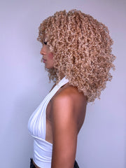 Blonde Highlights
