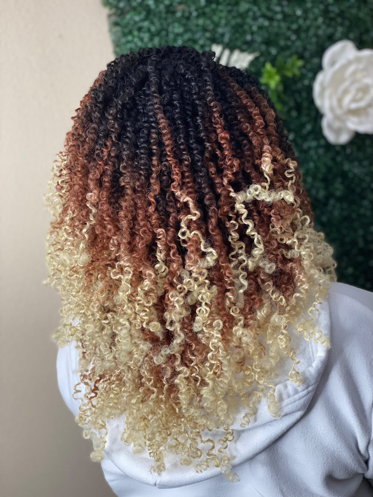 Ombré  tri-tune